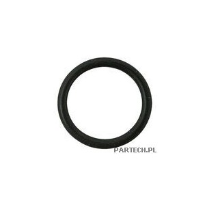 ARAG Oring   