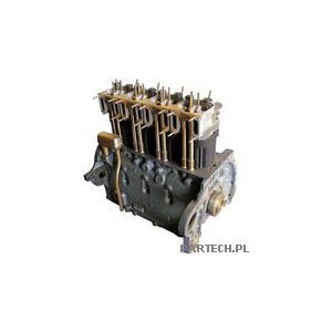 Silnik kpl. z głowicami cylindrowymi Deutz-Fahr Motor Deutz FL912